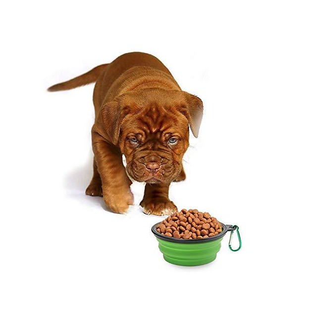 Title: The Ultimate Guide to Collapsible Silicone Dog Bowls